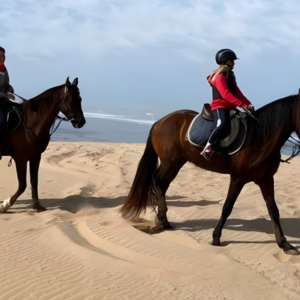 Private Desert Horse Ride